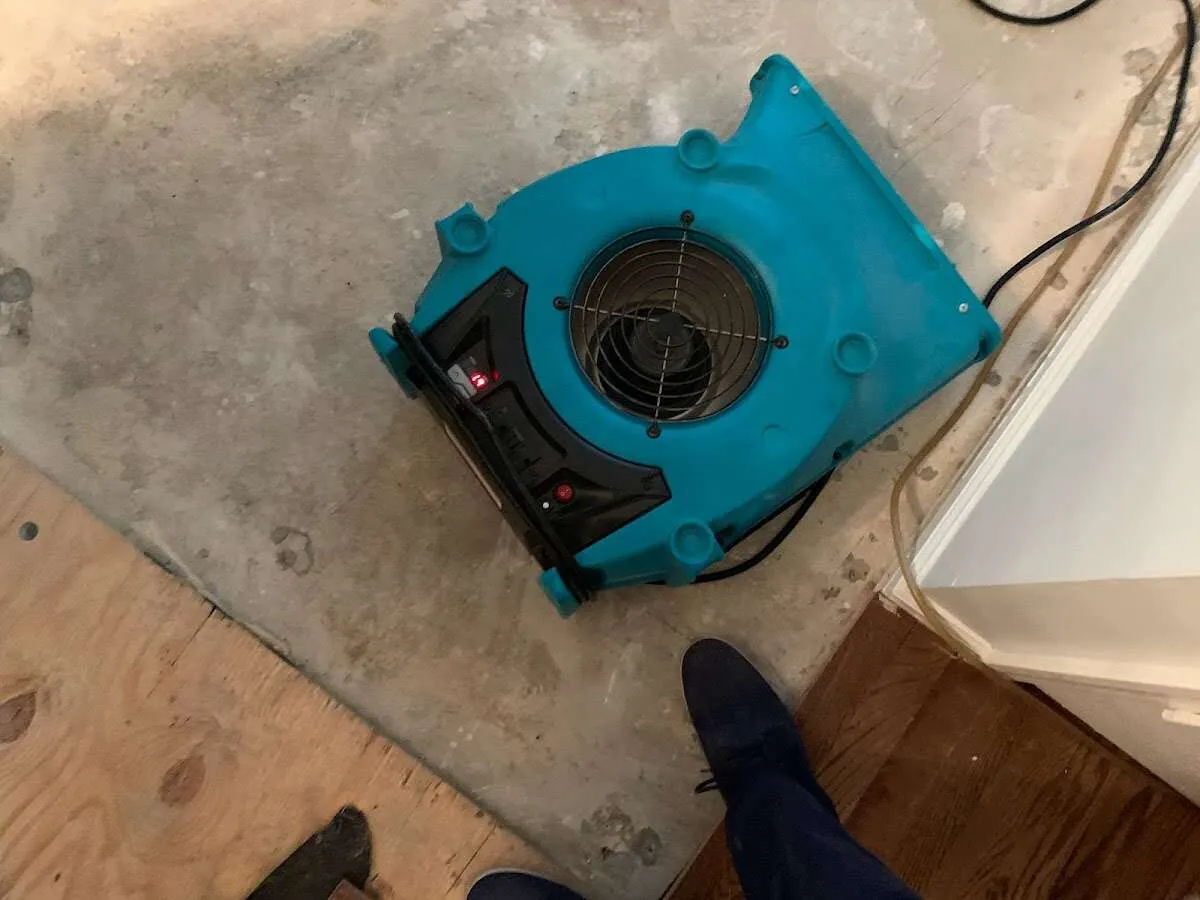 Air mover drying subfloor during Leak Detection & Repair in West Loch Estate